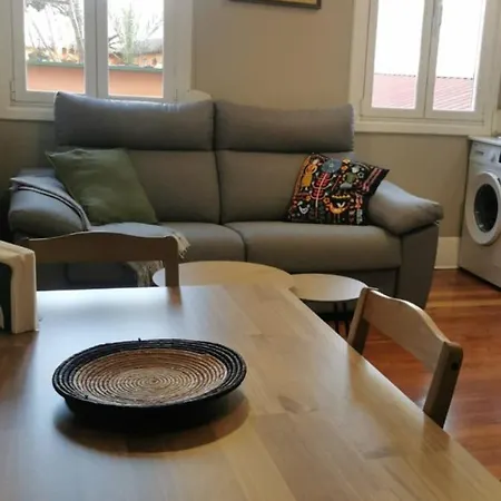 Helechos De Principe * Vigo